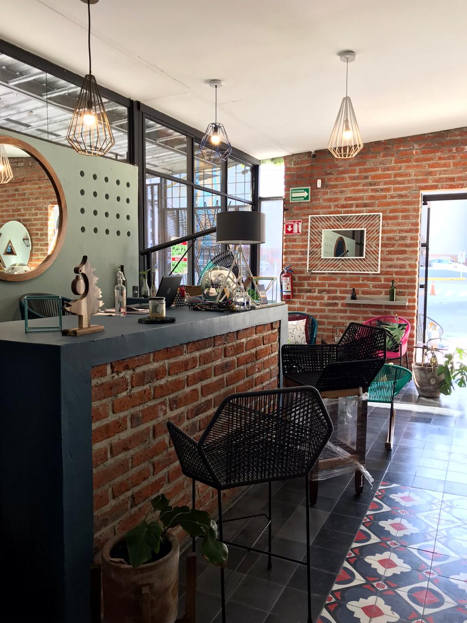 Sillas Conchas - Showroom